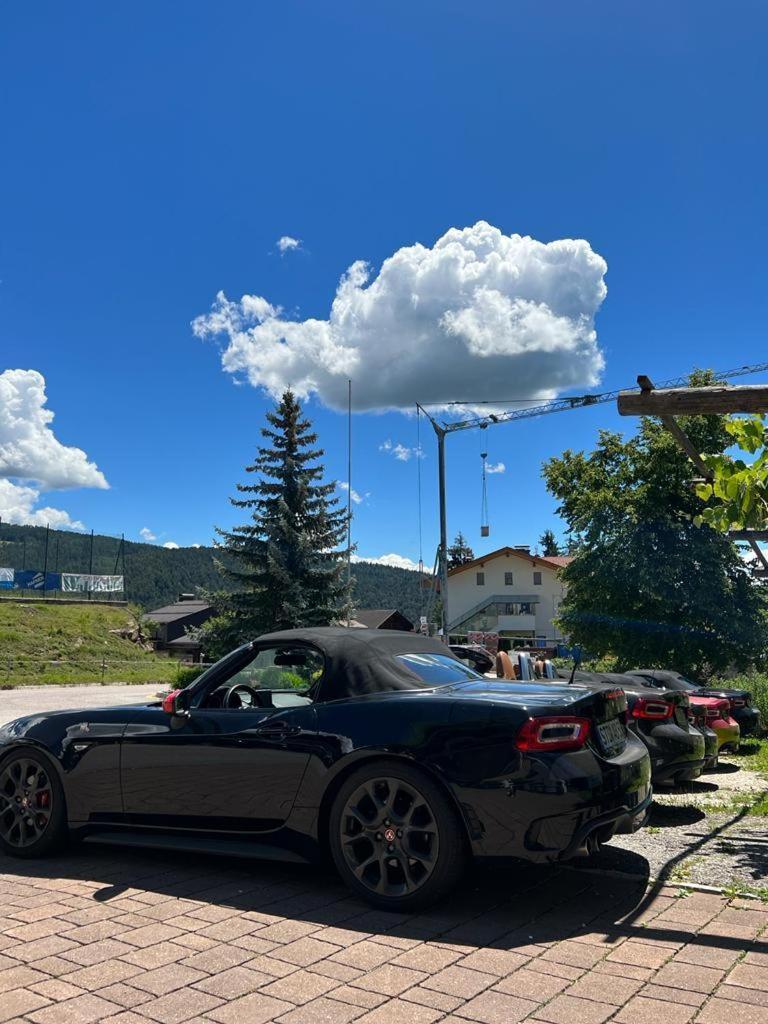 Albero Verde Verano Buitenkant foto
